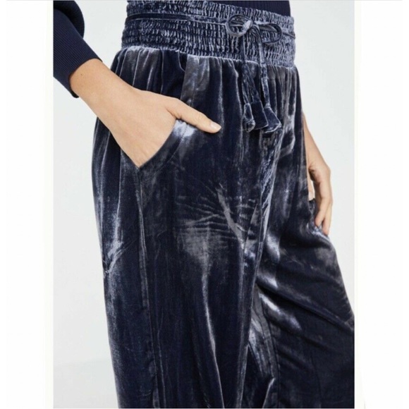 Anthropologie Gloria Velvet Joggers NWT Size XL - Picture 5 of 14